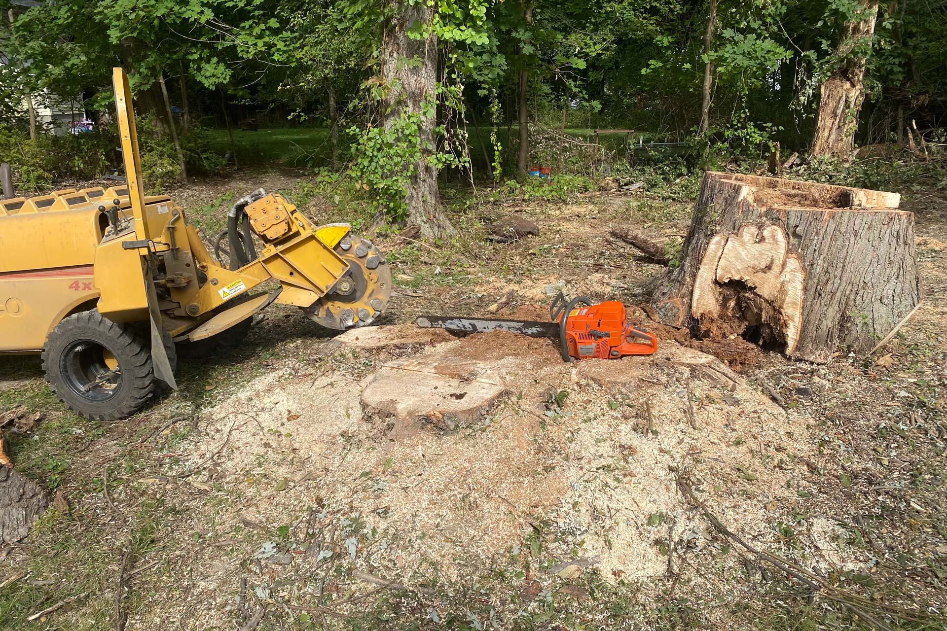 Stump grinding