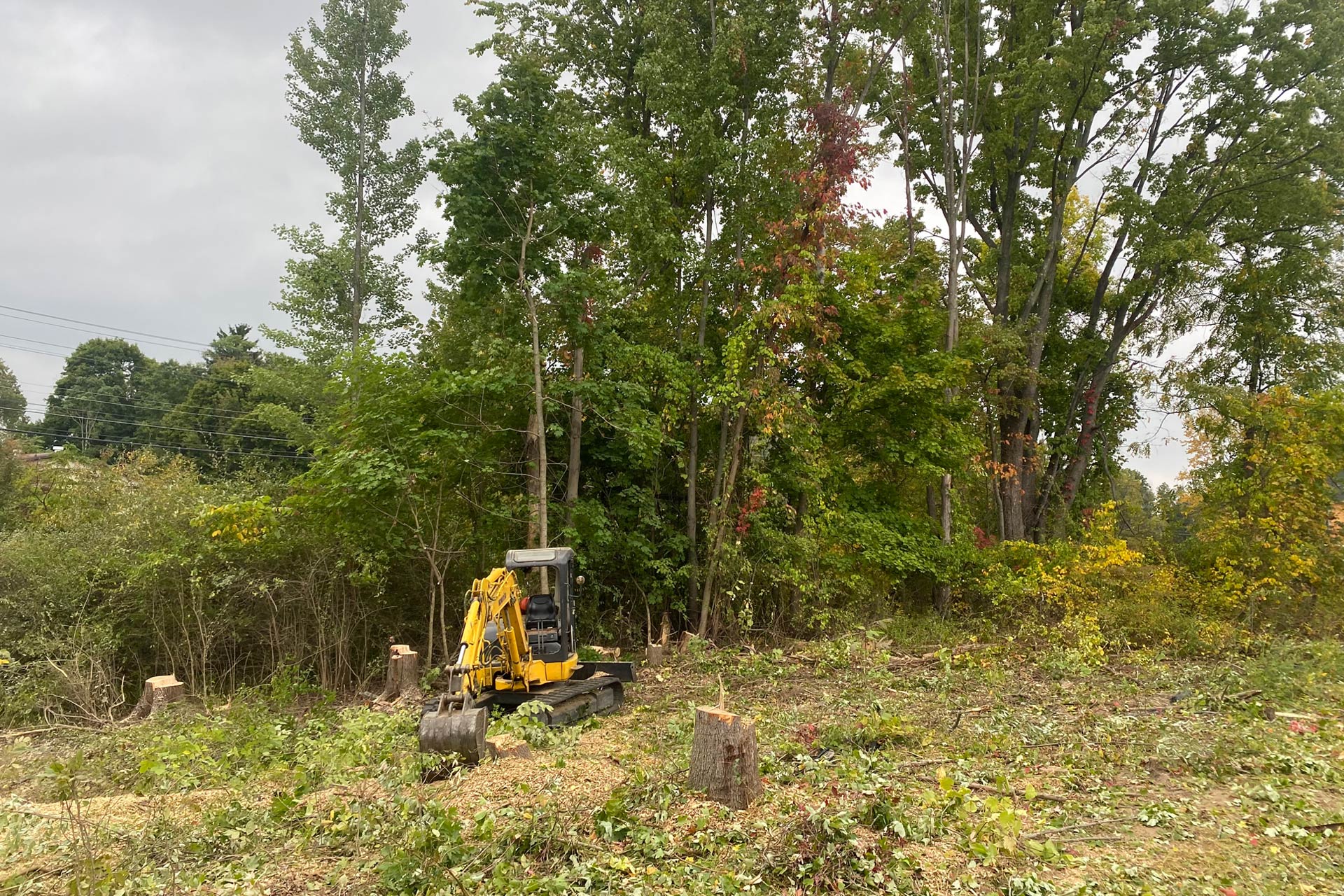 Land clearing