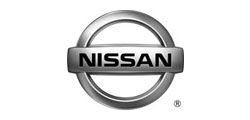 Nissan logo in silver and black.