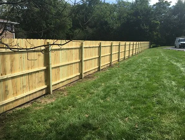 Wooden fence in a grassy yard, with trees in the background.