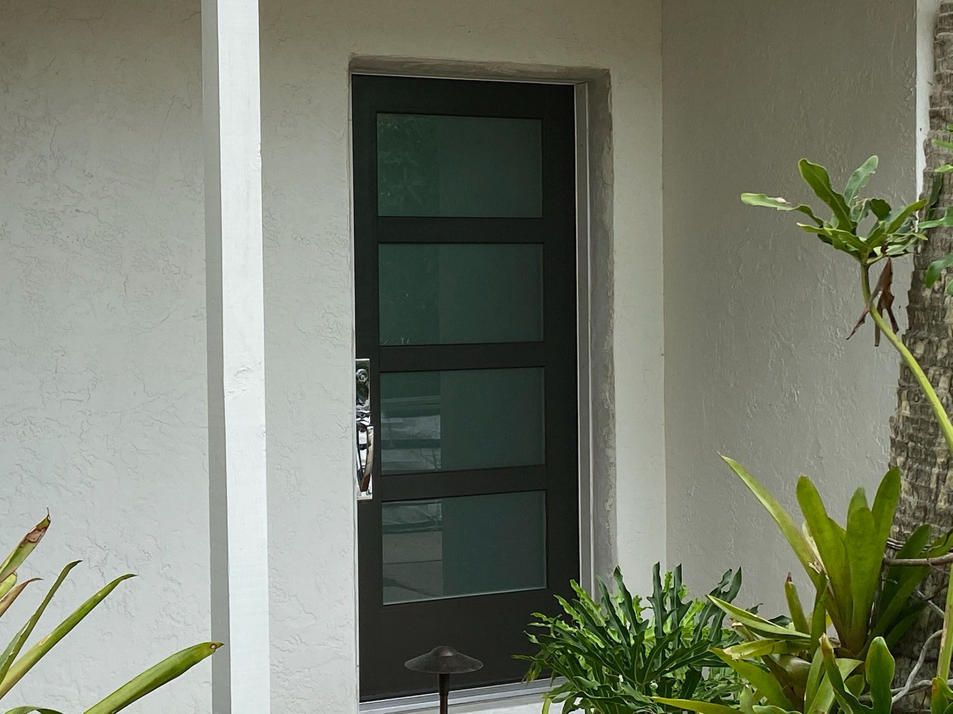 A black door on a white wall with plants in front of it