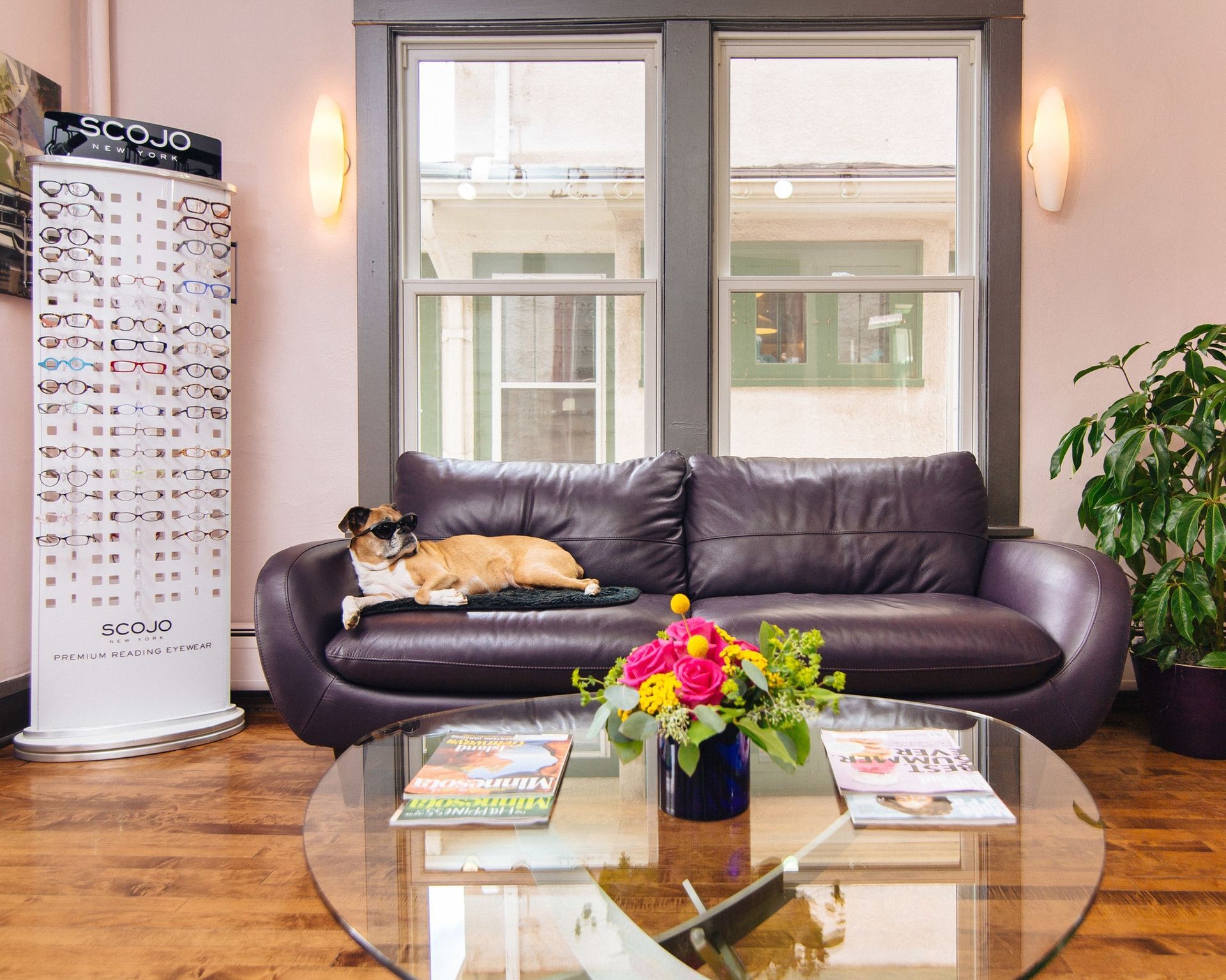 Sophie, the face of Specs Appeal