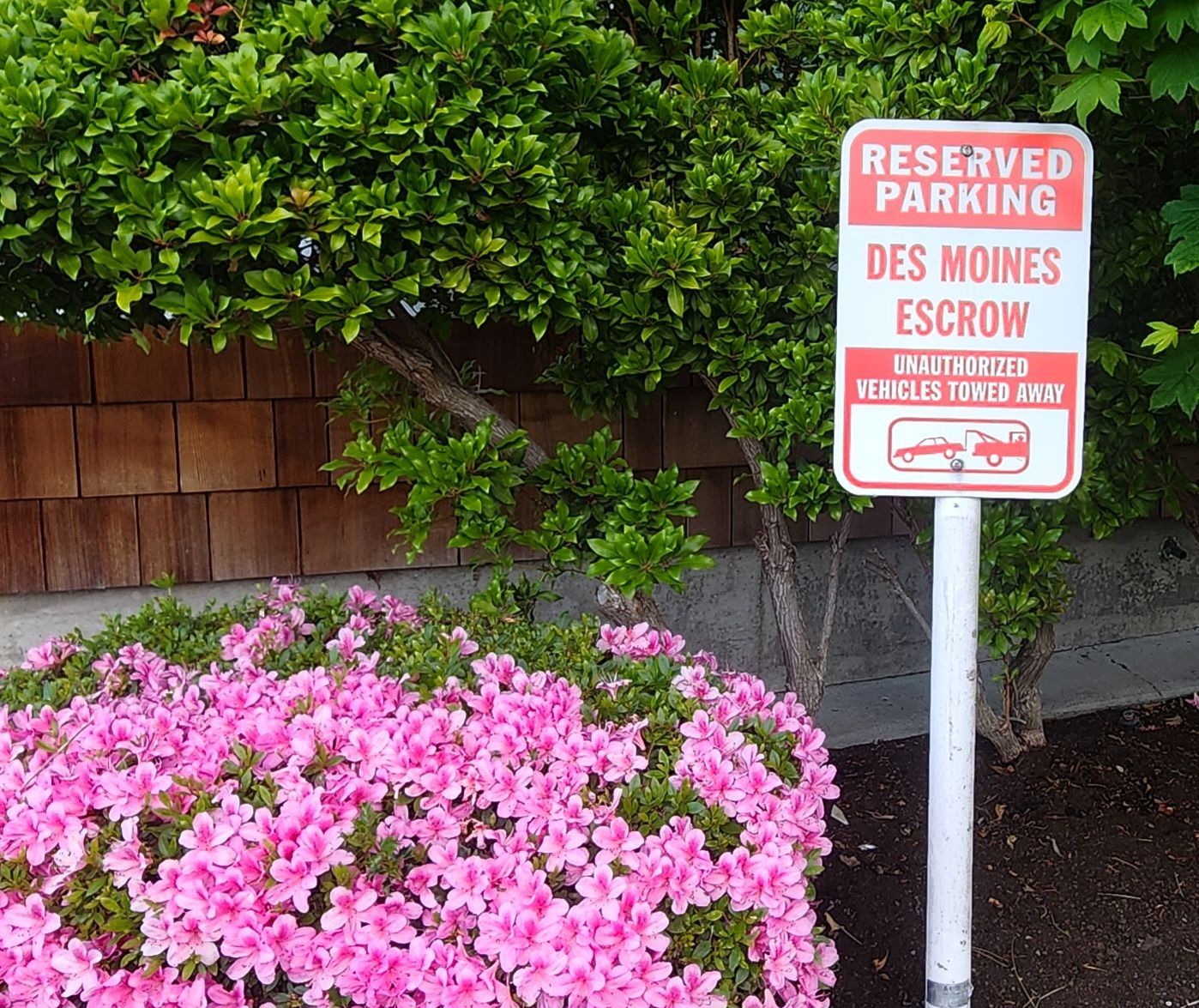 Reserved parking sign beside pink flowers and green shrubs