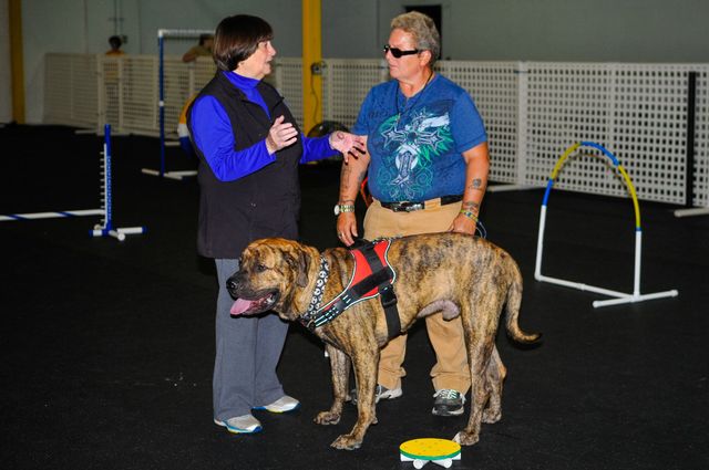 obedience classes in my area