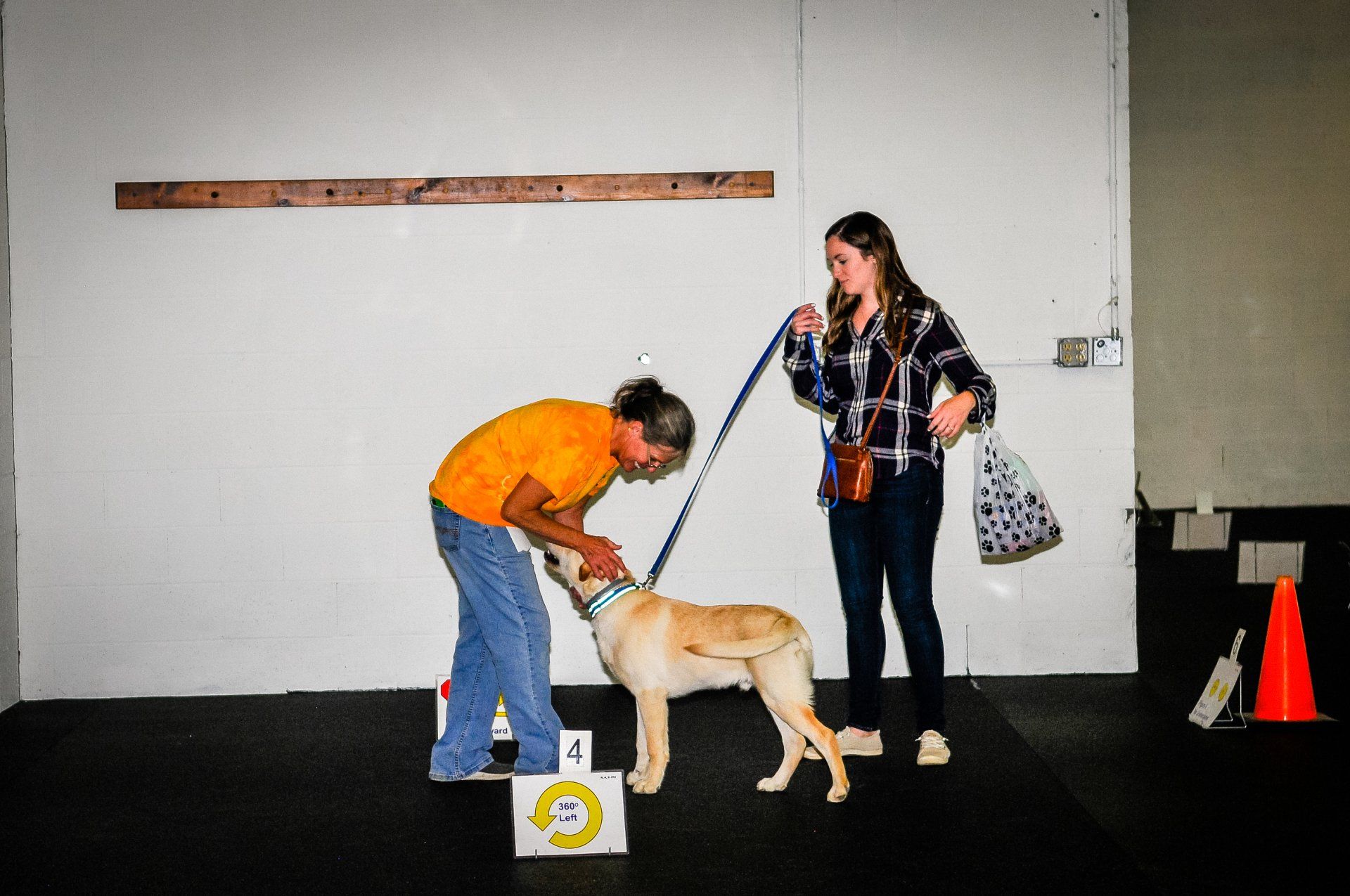 My Dog's Place LLC Dog Training Stonington, CT