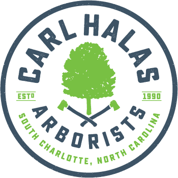 Halas Arborists - Logo