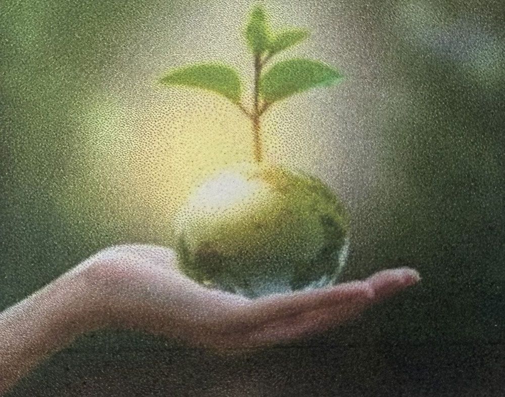 Hand holding a glowing green globe with a growing sprout, against a blurry green background.