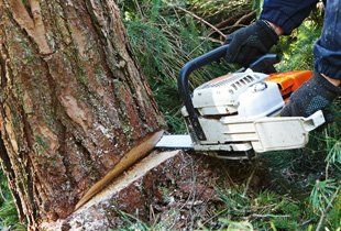 Quality Firewood - Ayala's Landscaping & Tree Service