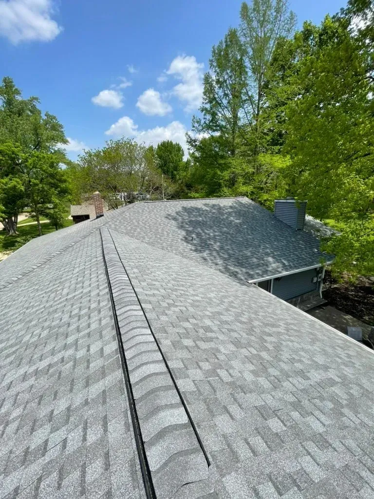 A gray shingled roof under a bright blue sky, with trees visible in the background.