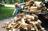 Split firewood