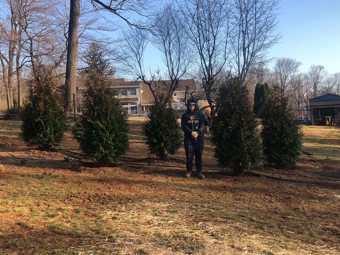 A person stands in a yard among several evergreen trees on a sunny autumn day with a house in the background.