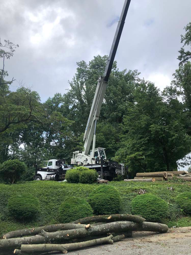 A white crane with an extended boom stands in a grassy area with cut tree logs in the foreground and trees in the back.
