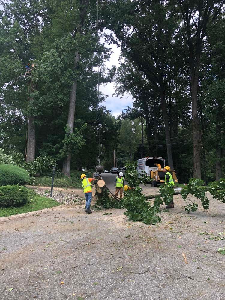 Workers in neon vests clean up fallen tree branches on a paved road near a wood chipper.