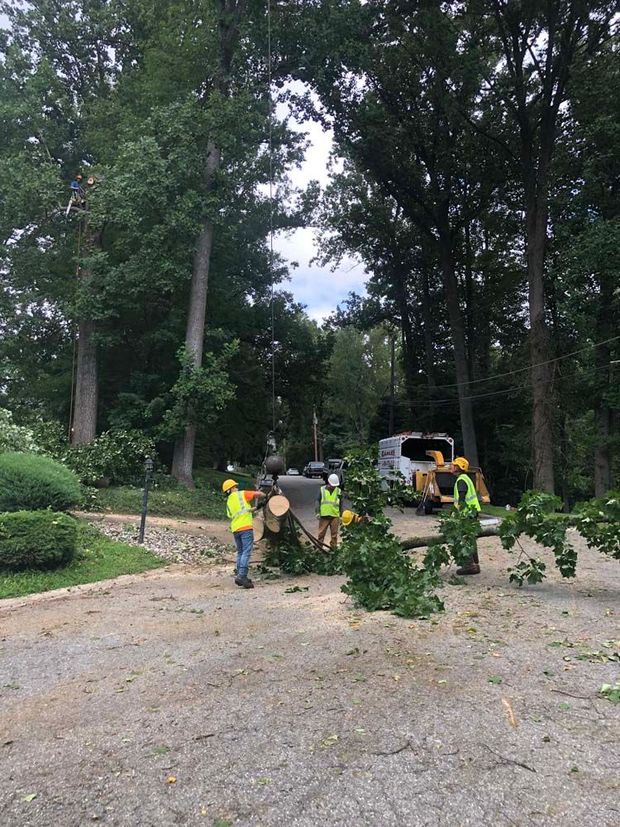 Workers in neon vests clean up fallen tree branches on a paved road near a wood chipper.