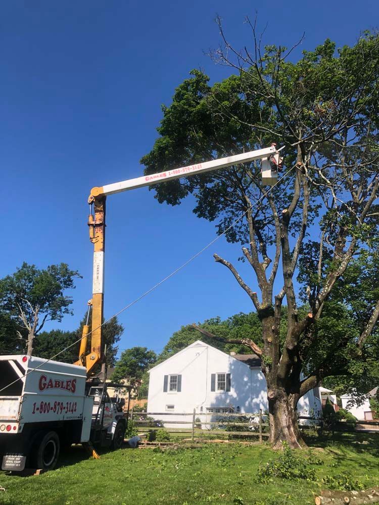 A utility truck with an extended bucket lift is positioned next to a large tree, with a white house in the background.