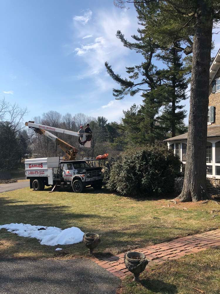 A utility truck with a raised boom and basket working on trees next to a house on a sunny day.