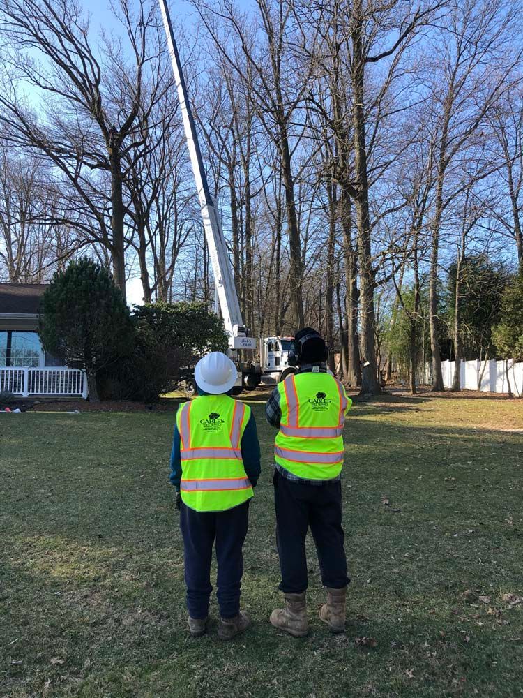 Two workers in high-visibility safety vests and hard hats stand on a lawn, looking up at a tree service bucket truck.