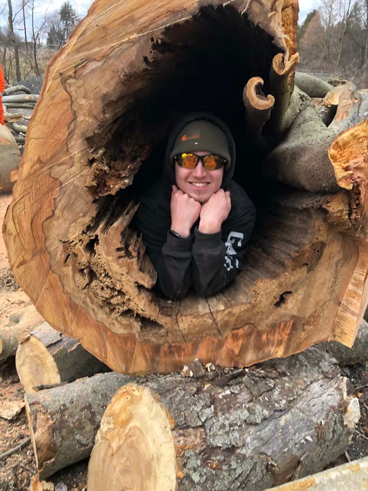 A person wearing a dark hoodie, beanie, and sunglasses peeking out from inside the hollow cavity of a large fallen log.