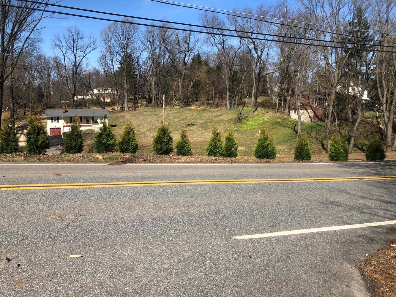 A paved road leads to a grassy hill planted with a row of small, green evergreen trees in front of a house in the distance.