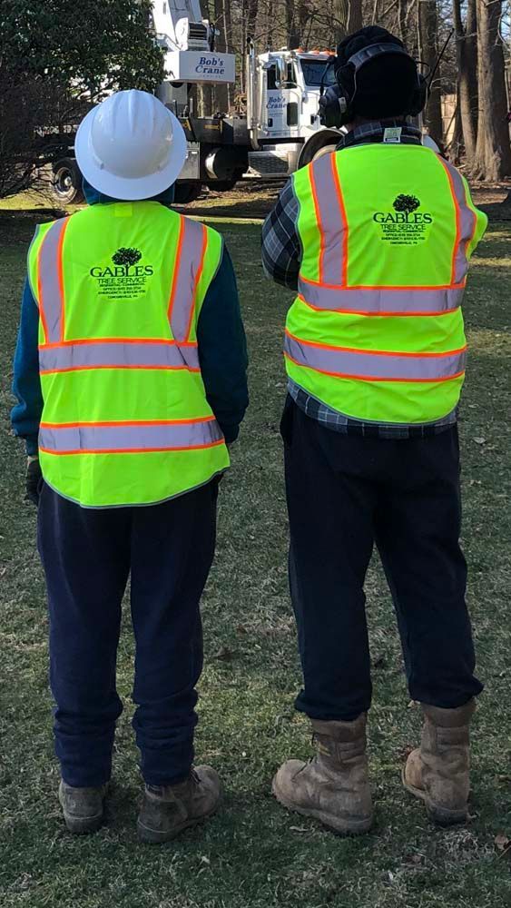 Two workers in high-visibility safety vests stand on grass, facing a utility truck in a wooded area.