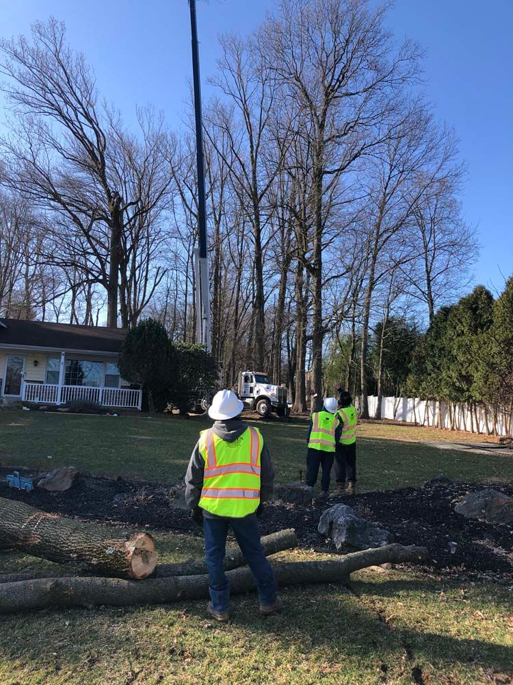Three workers in high-visibility vests and hard hats watch a crane removing trees near a house on a sunny day.