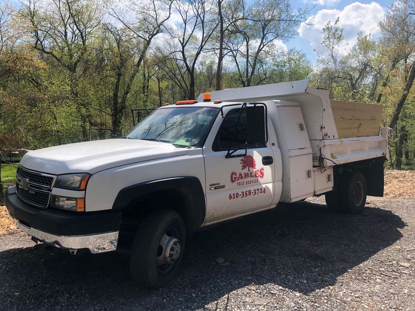 A white dump truck parked on a gravel surface with trees in the background.