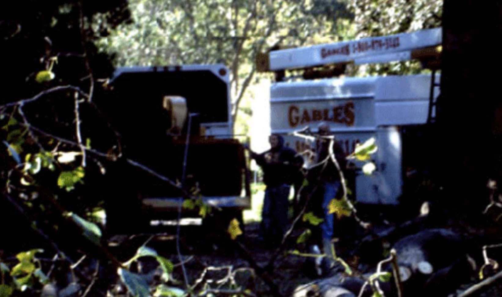 Two workers stand by a white tree service truck and a wood chipper in a wooded area with cut logs on the ground.