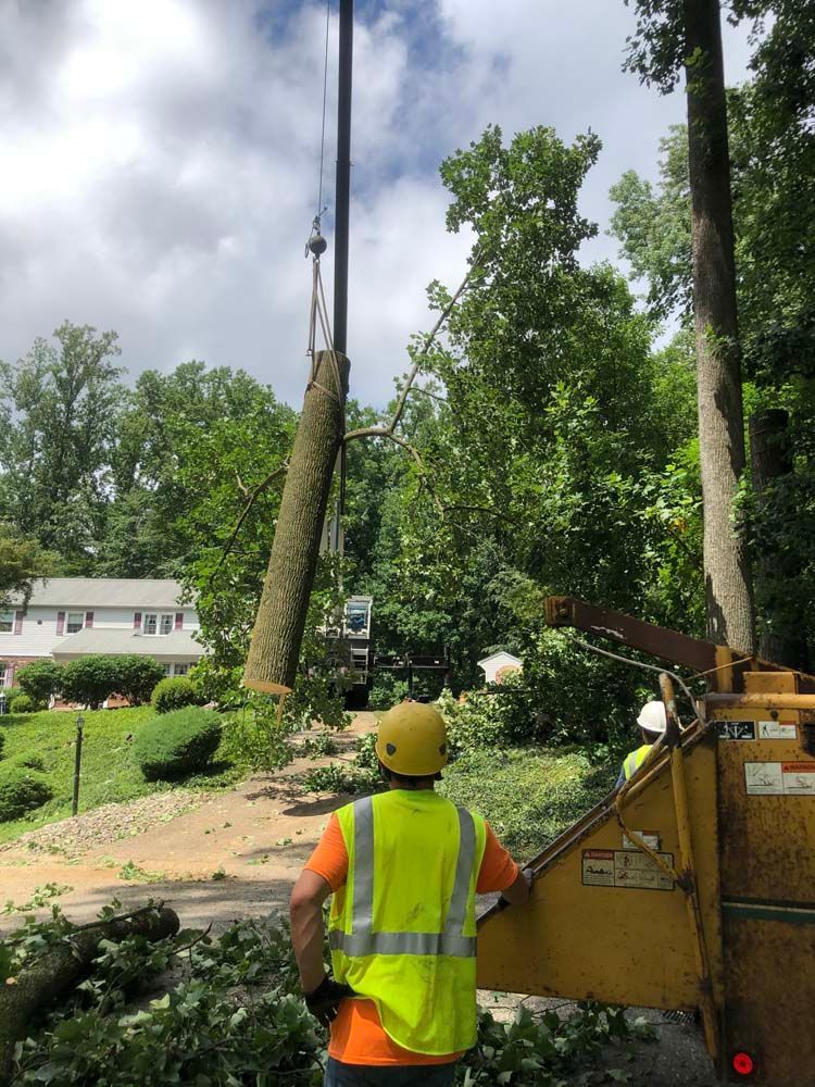 A worker in a yellow safety vest and hard hat watches a crane lift a large tree section near a house.