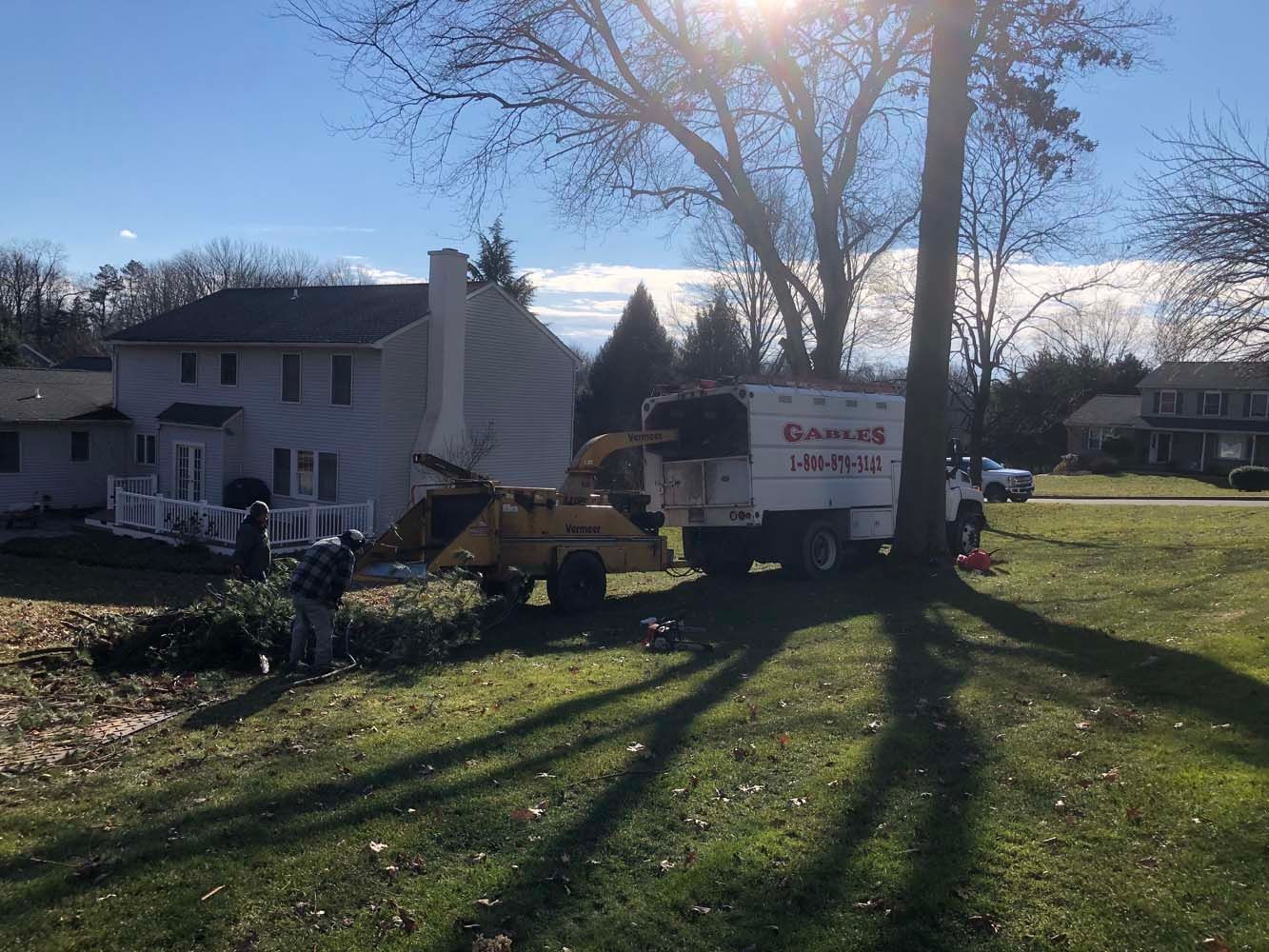 A crew operates a wood chipper near a white truck and house on a sunny, grassy residential lot.