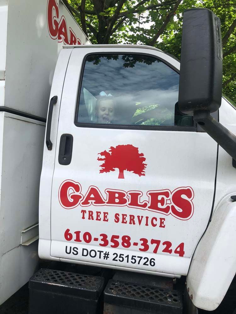 Side view of a white truck for Gables Tree Service with the company logo, phone number, and DOT number on the door.