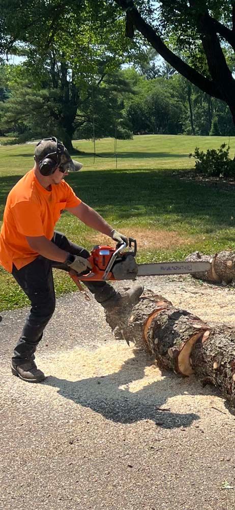 A person wearing an orange shirt and protective gear uses a chainsaw to cut a log on an asphalt surface.