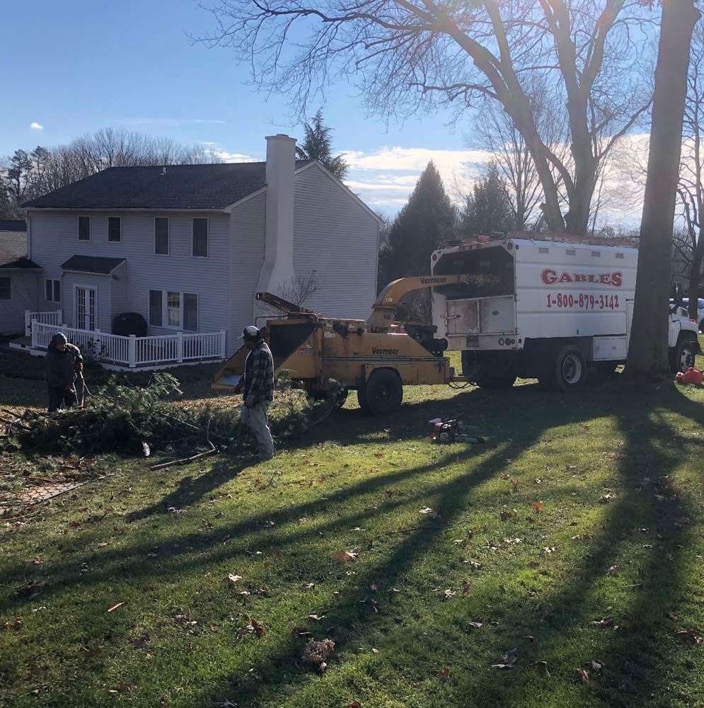 Workers operate a wood chipper attached to a Gables tree service truck in front of a house on a sunny day.