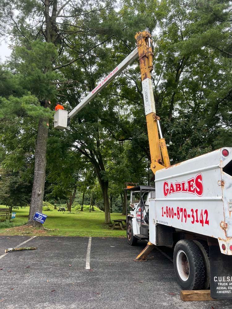 A white Gables utility truck parked on asphalt with its extended boom lift reaching toward a tall tree.