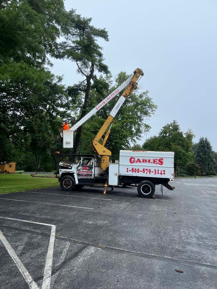 A Gables bucket truck is parked in an asphalt lot with its boom extended toward the trees.