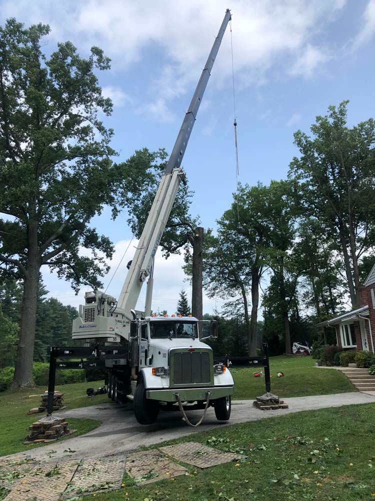 A white crane truck parked on a residential lawn, fully extended with outriggers deployed for tree removal work.