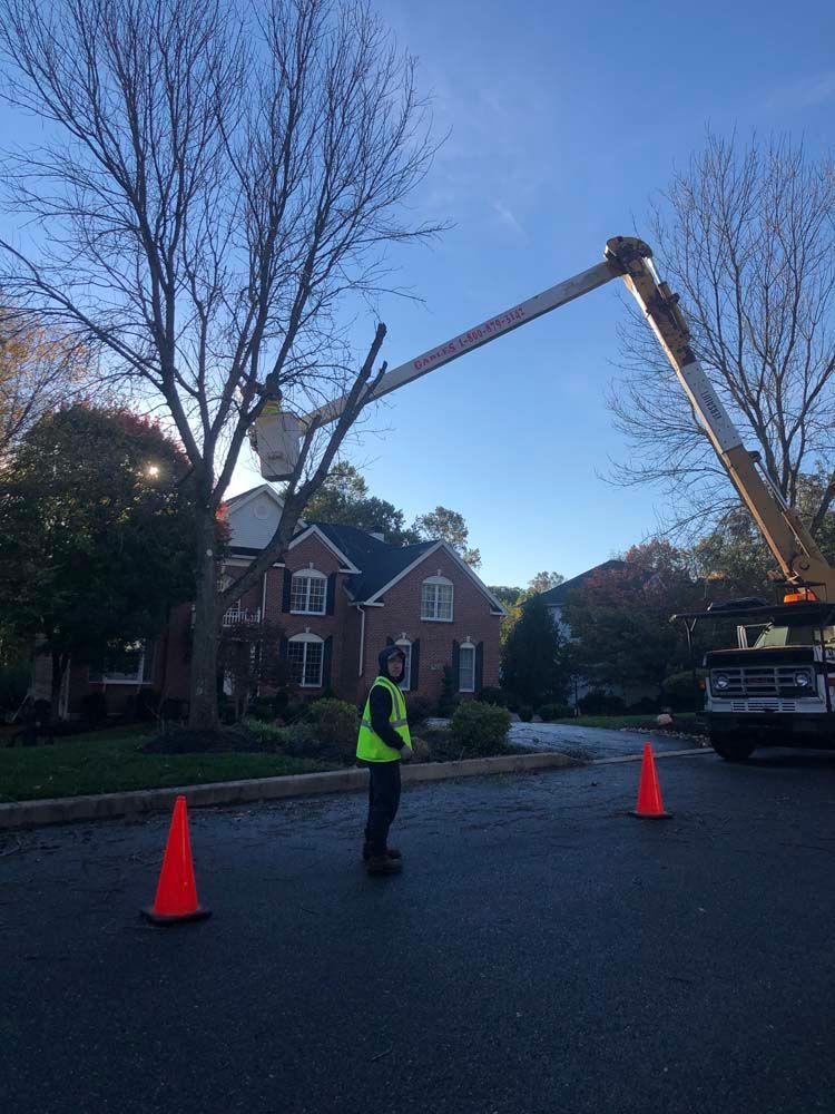 A utility worker in a bright yellow vest stands by orange traffic cones while a bucket truck trims a tree near a house.