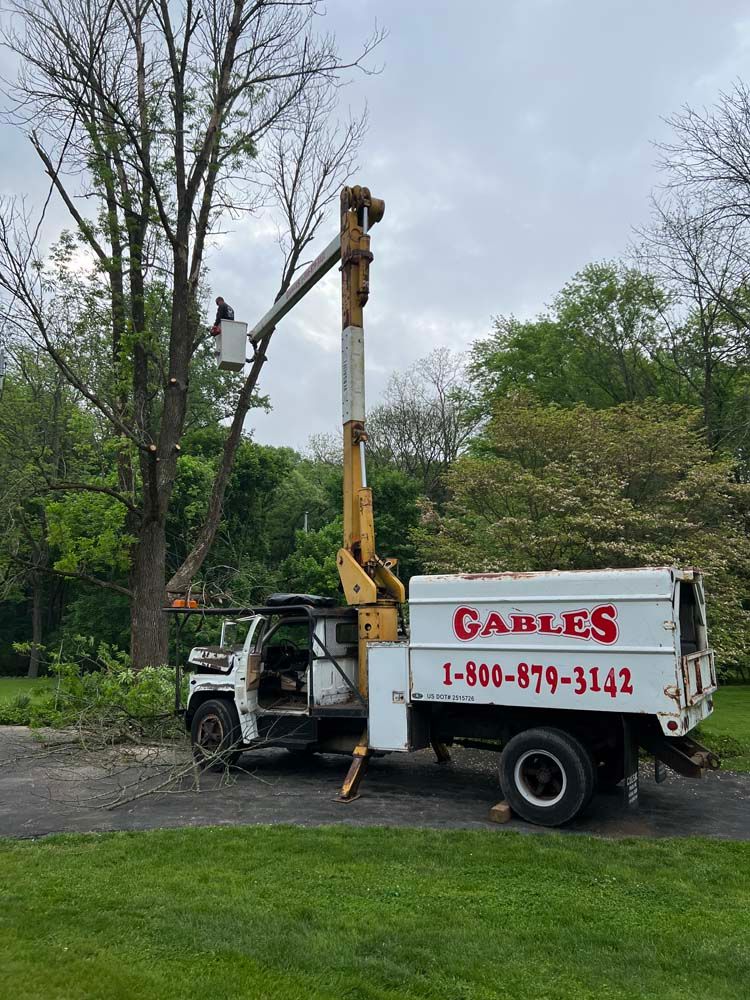 A utility truck with a crane bucket lifted into a tree for trimming, parked on a gravel path near green trees.