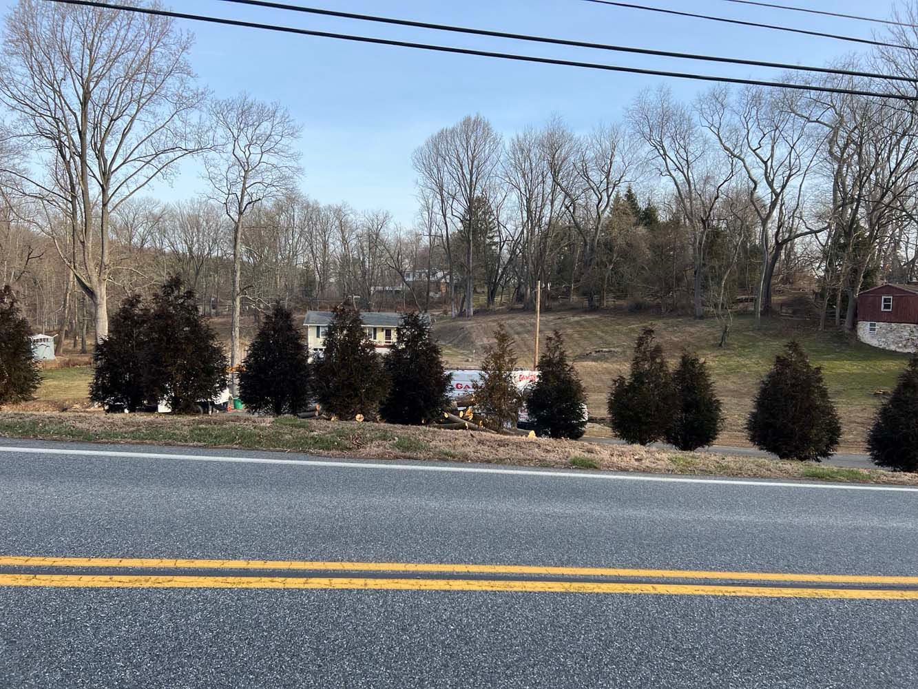 A row of evergreen trees stands along a roadside, with a grassy hill, bare trees, and houses visible in the background.