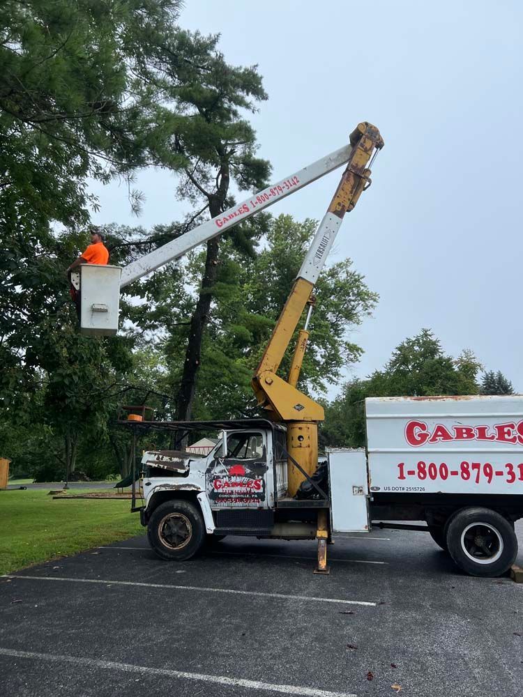 A worker in an orange vest inside the bucket of a cherry picker truck trimming tree branches in a parking lot.