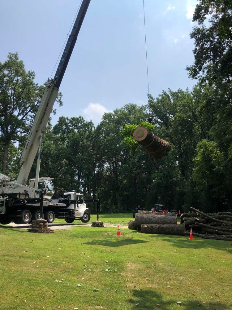 A crane in a grassy yard lifts a large tree trunk through the air near a stack of logs.