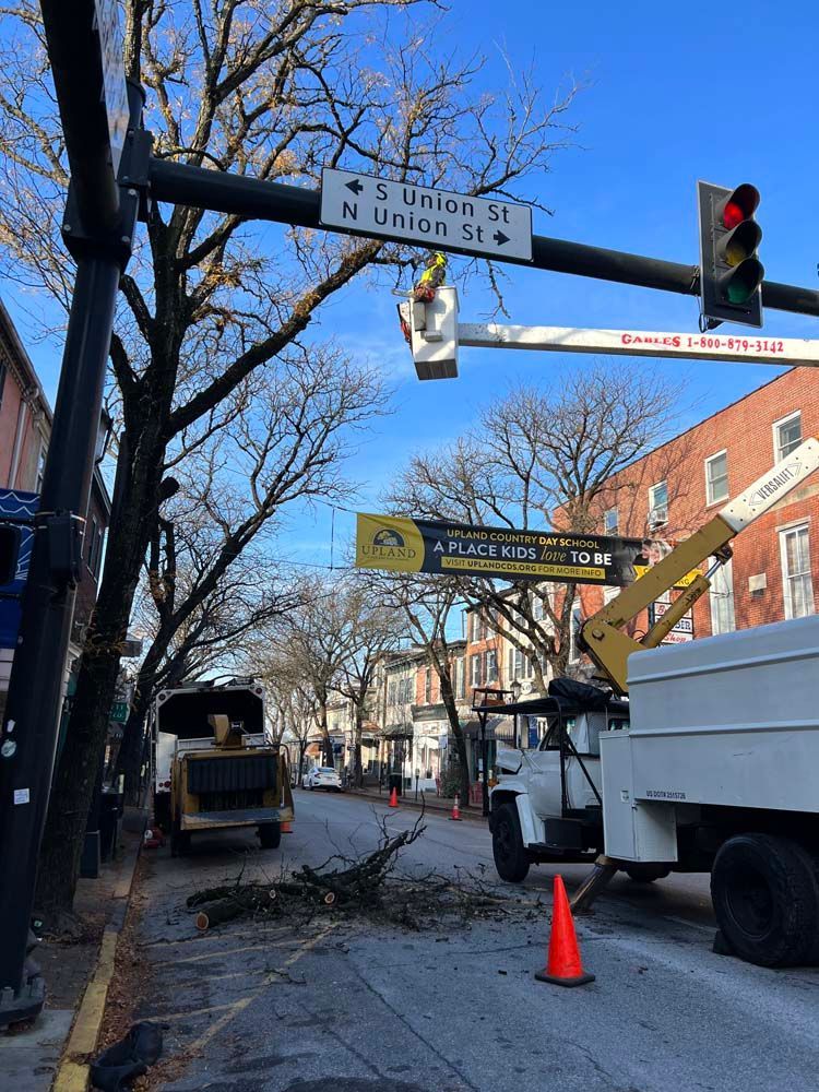 A tree-trimming crew with a bucket truck and wood chipper works on a street labeled S. Union St under a clear blue sky.