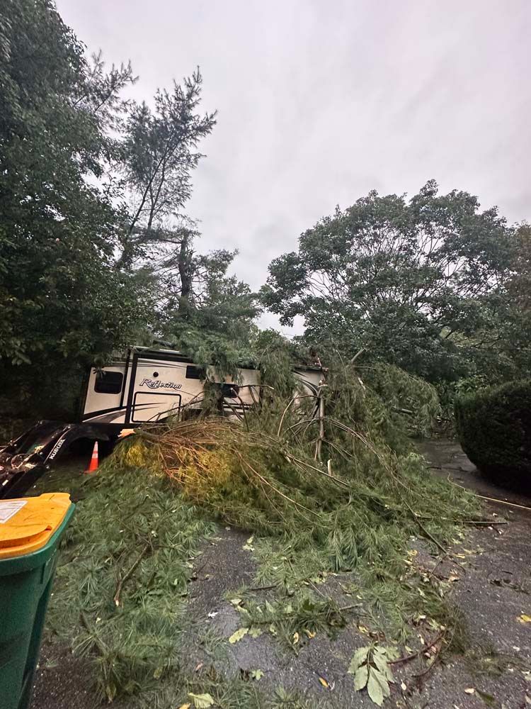 A large tree has fallen onto a recreational vehicle parked on a residential driveway.