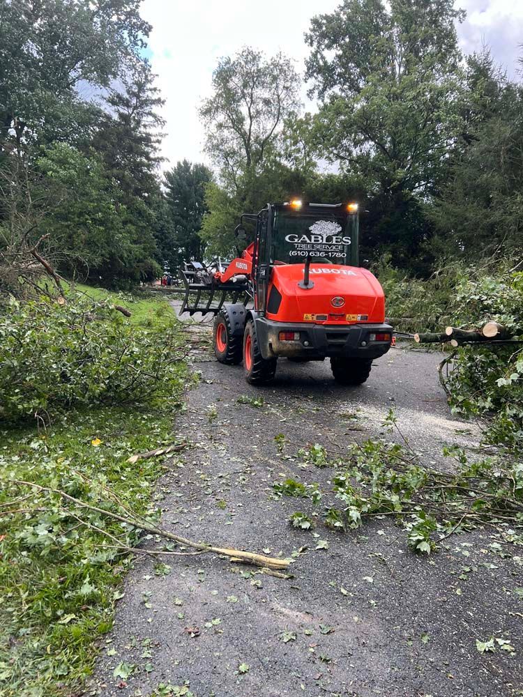 An orange Kubota tractor with a grapple attachment clears fallen tree branches from a paved path in a wooded area.