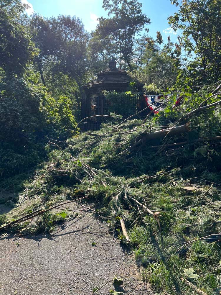 A downed tree and scattered branches block a path leading to a gazebo surrounded by green trees on a sunny day.