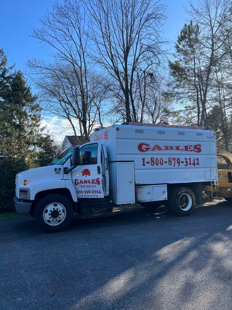 A white Gadles tree service truck is parked on an asphalt road in front of trees under a clear blue sky.