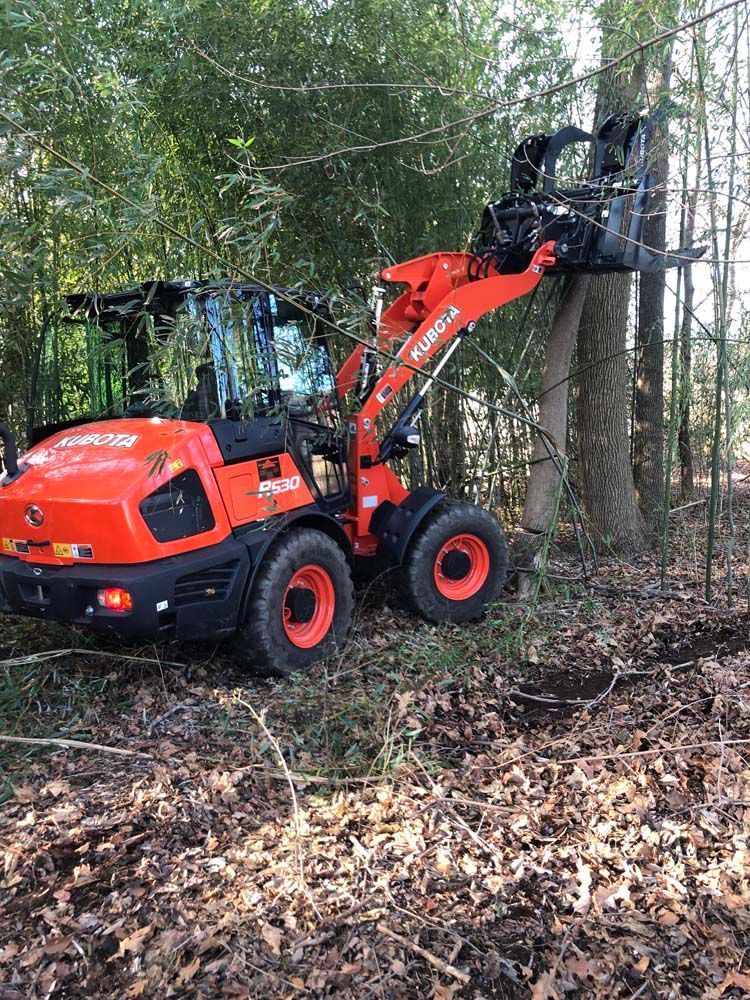 An orange Kubota wheel loader equipped with a grapple attachment works among trees in a wooded area.
