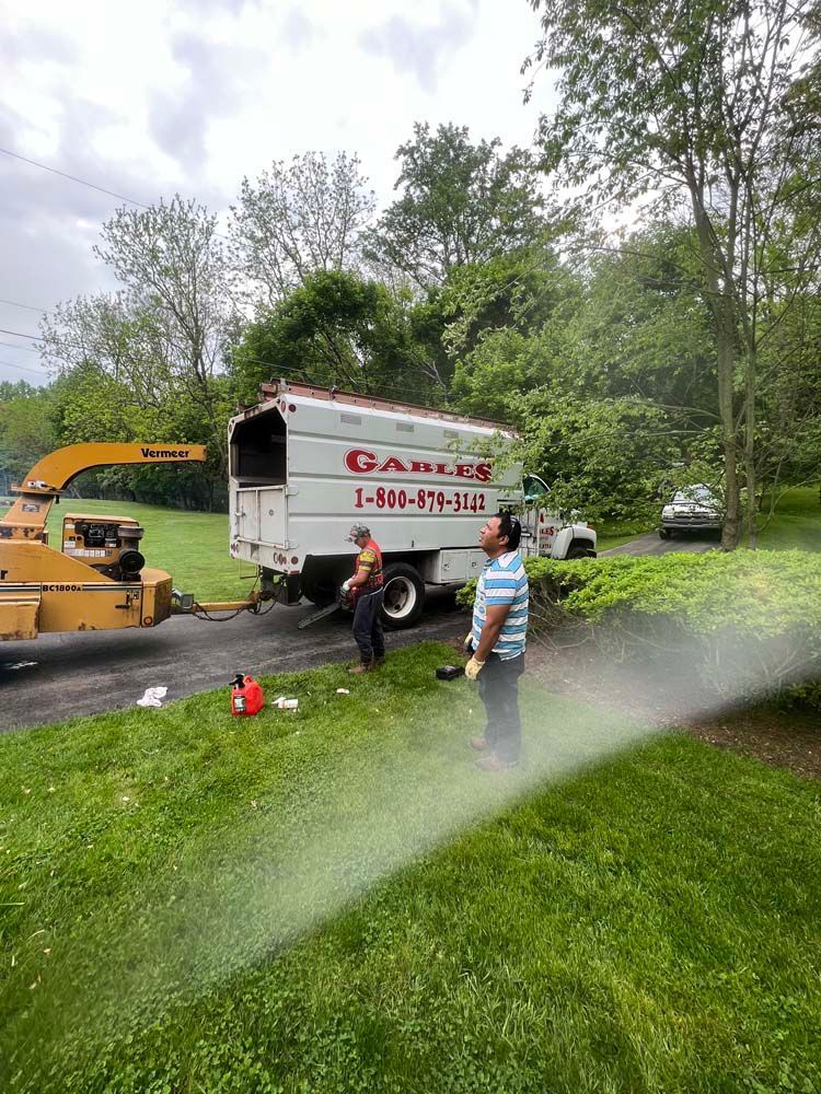 Two workers near a tree service truck and a wood chipper on a grassy lawn with a sprinkler spraying water.