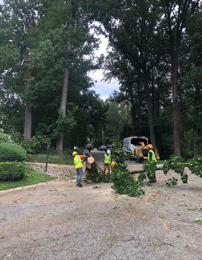 Three tree service workers in high-visibility vests clearing a fallen tree from a residential driveway.