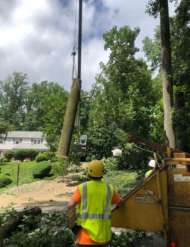 A worker in a high-visibility vest and hard hat watches as a crane lifts a large tree trunk on a residential property.