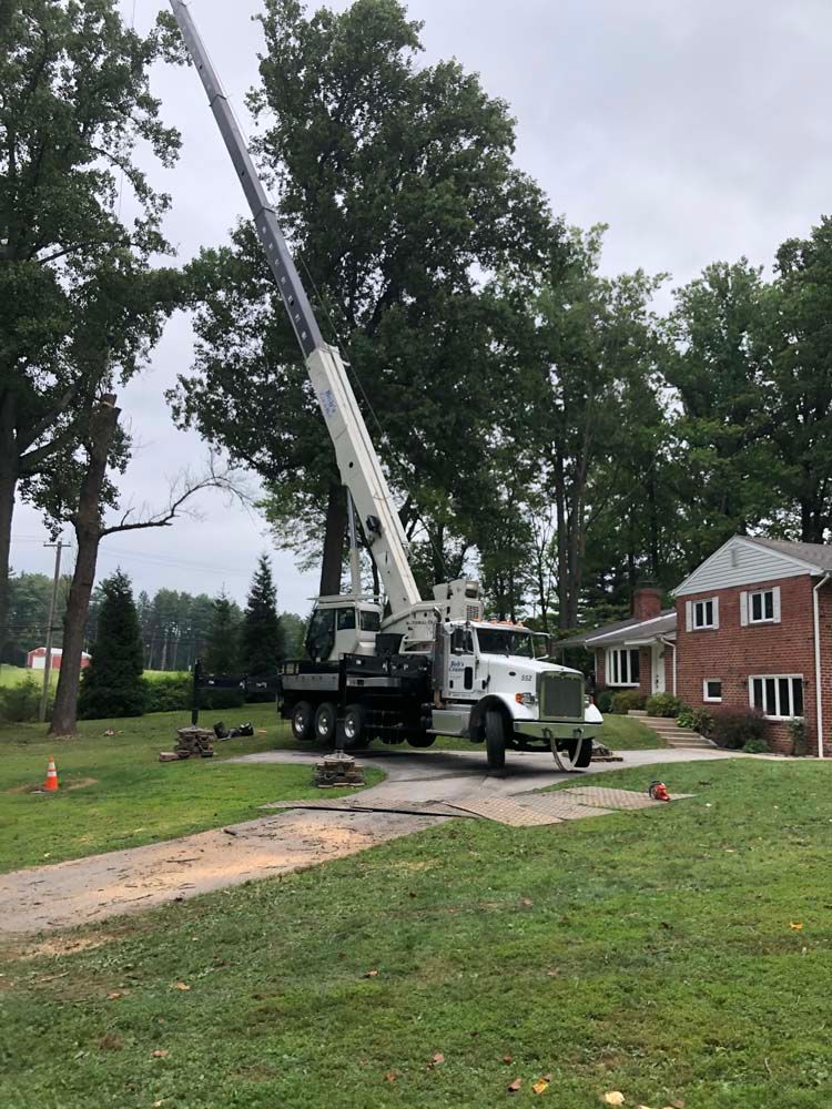 A white crane truck parked on a residential driveway next to a brick house, with its boom extended toward tall trees.